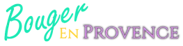 Logo du site