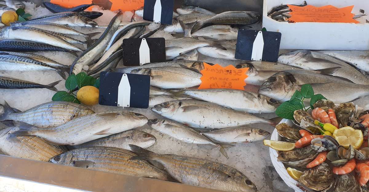 Marché aux poissons de Marignane
