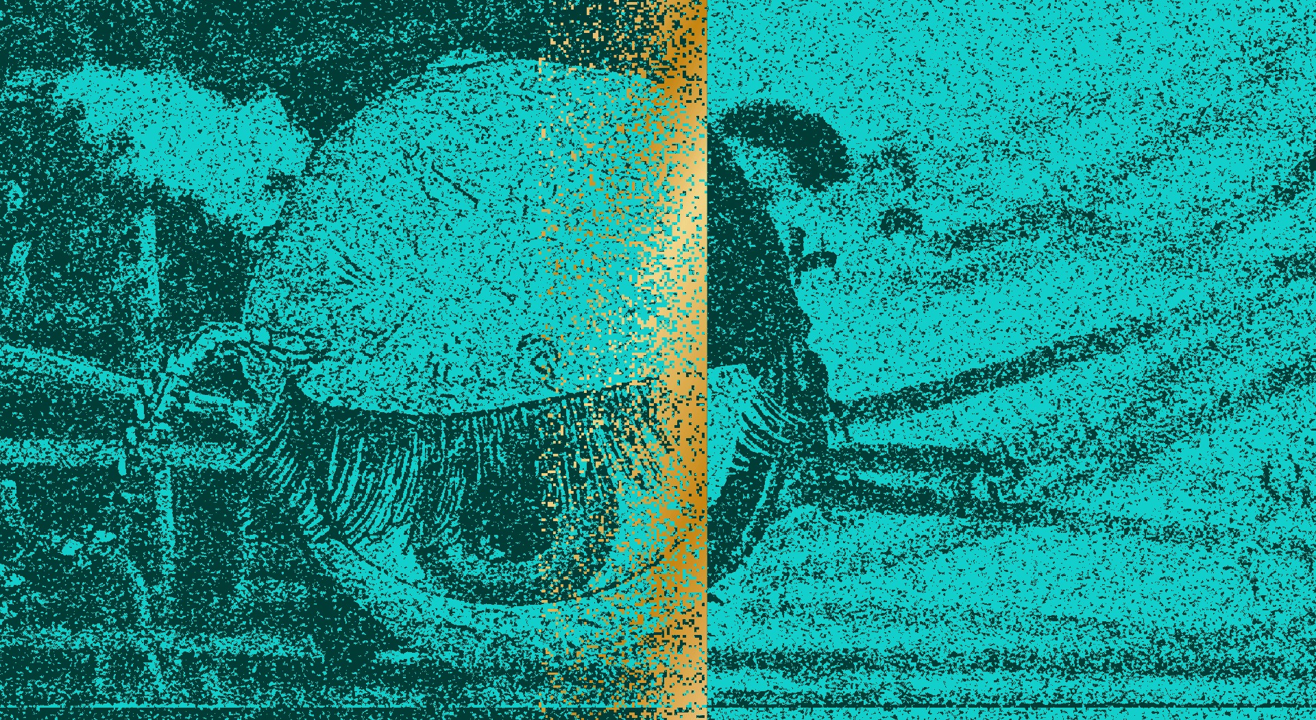 Festival Propagations 2026 | « Natures » Ensemble Cairn, Lin-Ni Liao